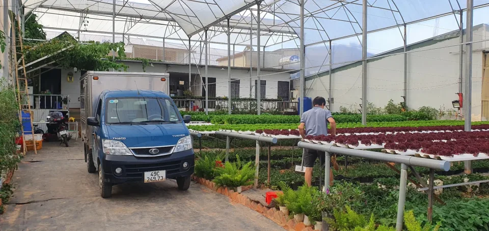 Hoạt động tại Vườn Rau Thủy Canh Huyền Vũ